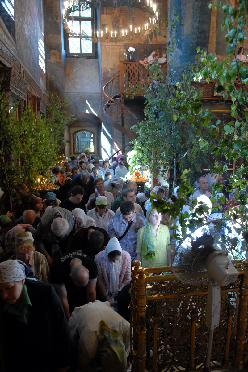 Human Flower Project Birches at Pentecost - Human Flower Project
